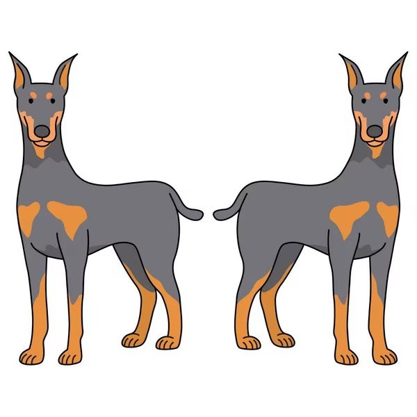 Doberman Pinscher Dog Decal, Dog Lover Decor Vinyl Sticker, Signmission, Mfr#: D-24-Doberman Pinscher
